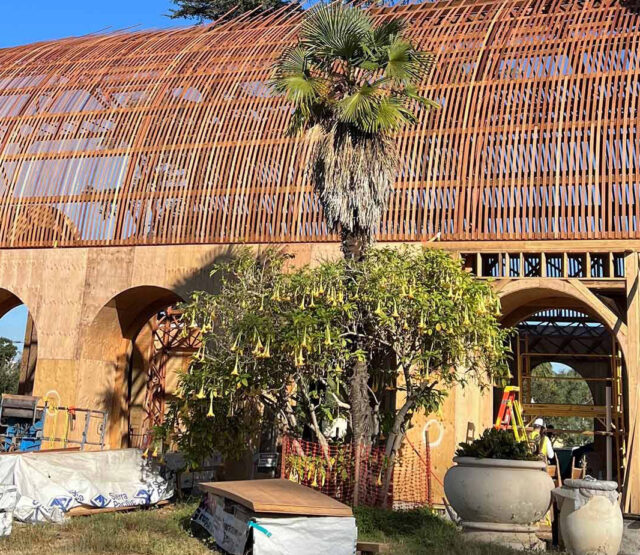 lath install balboa botanical